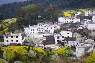 婺源旅游 婺源旅游